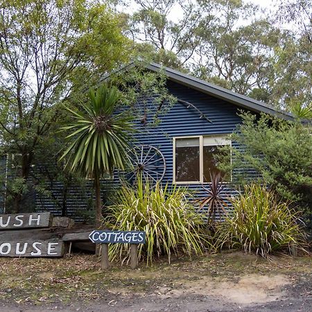 Lorne Bush House Cottages & Eco Retreats Exterior photo